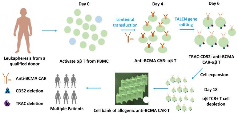 https://cdn.ncbi.nlm.nih.gov/pmc/blobs/e729/9913487/16a75326c1c9/cancers-15-00567-g002.jpg