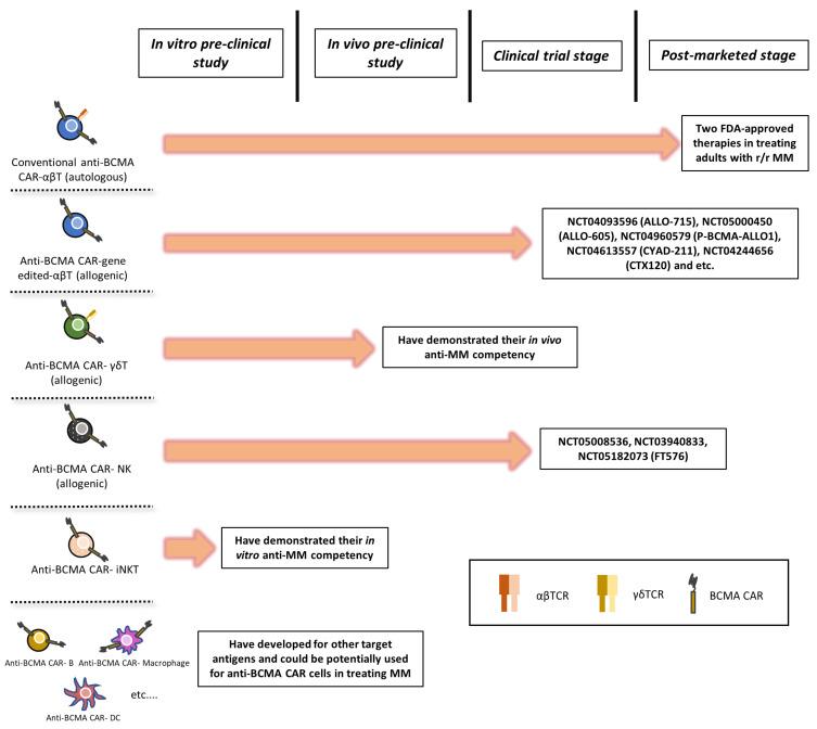 https://cdn.ncbi.nlm.nih.gov/pmc/blobs/e729/9913487/99d2fa15de40/cancers-15-00567-g003.jpg