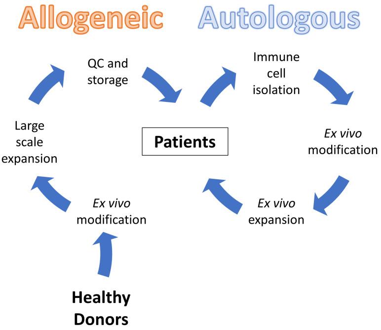 https://cdn.ncbi.nlm.nih.gov/pmc/blobs/e729/9913487/ed04f0ed8fcb/cancers-15-00567-g001.jpg