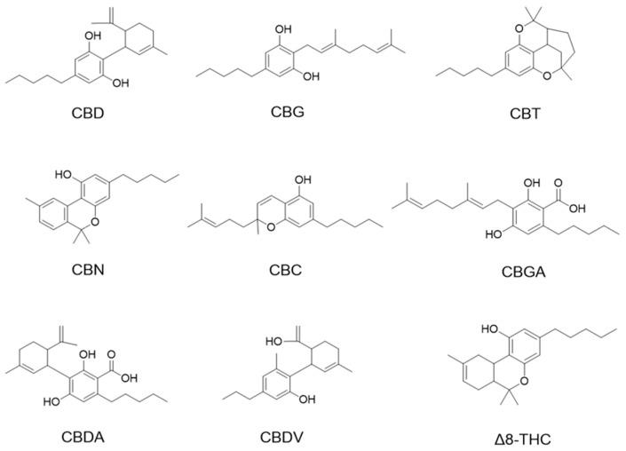 https://cdn.ncbi.nlm.nih.gov/pmc/blobs/e72b/11047683/42a1988d94bf/antioxidants-13-00478-g001.jpg