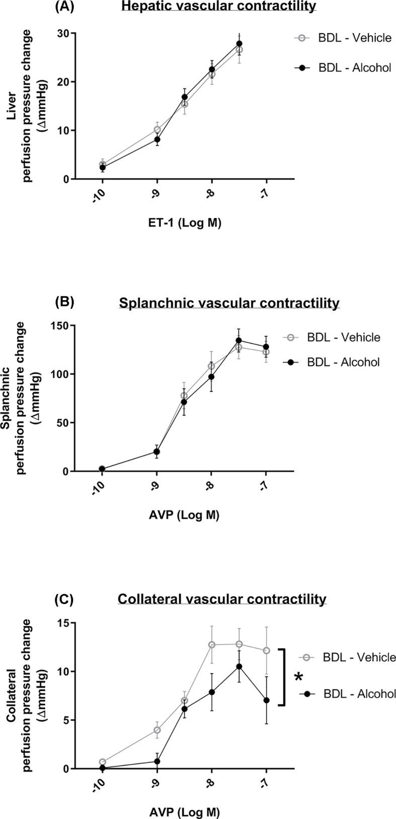 https://cdn.ncbi.nlm.nih.gov/pmc/blobs/e72d/11263042/ca850d11a436/bsr-44-bsr20240354-g6.jpg