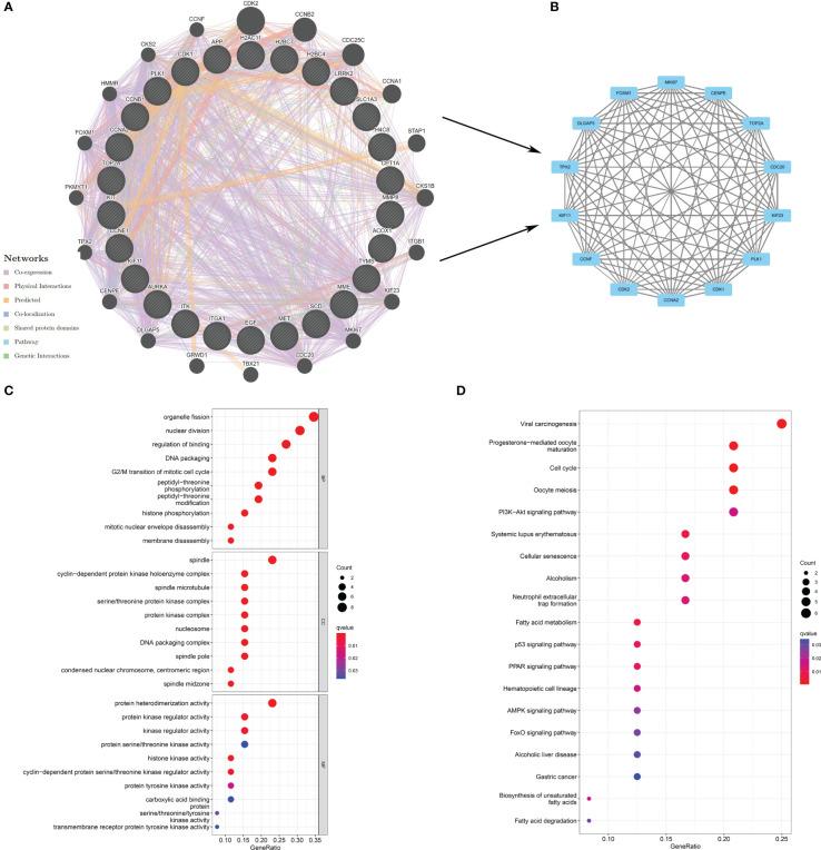 https://cdn.ncbi.nlm.nih.gov/pmc/blobs/e72e/10076552/24a76ff541ed/fimmu-14-1038651-g003.jpg