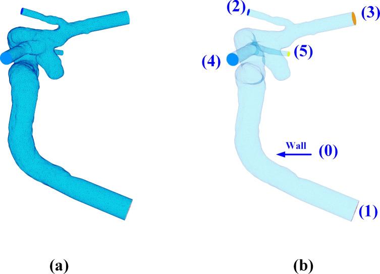 https://cdn.ncbi.nlm.nih.gov/pmc/blobs/e72e/11618461/652b4eed7704/41598_2024_80891_Fig4_HTML.jpg
