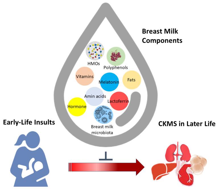 https://cdn.ncbi.nlm.nih.gov/pmc/blobs/e72f/11944316/bca8613aeebe/nutrients-17-00995-g001.jpg