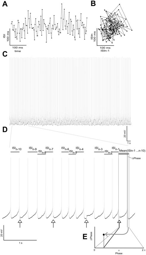 https://cdn.ncbi.nlm.nih.gov/pmc/blobs/e730/2596483/75cd21dd57ef/pone.0003947.g001.jpg