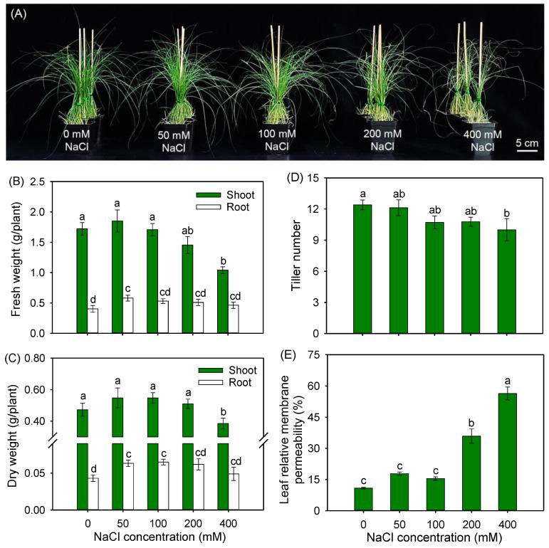 https://cdn.ncbi.nlm.nih.gov/pmc/blobs/e731/10346696/c0b41301df9b/plants-12-02459-g001.jpg