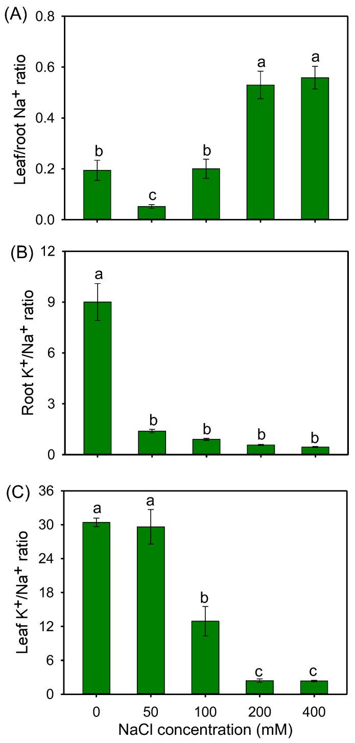 https://cdn.ncbi.nlm.nih.gov/pmc/blobs/e731/10346696/d0961228aa07/plants-12-02459-g006.jpg