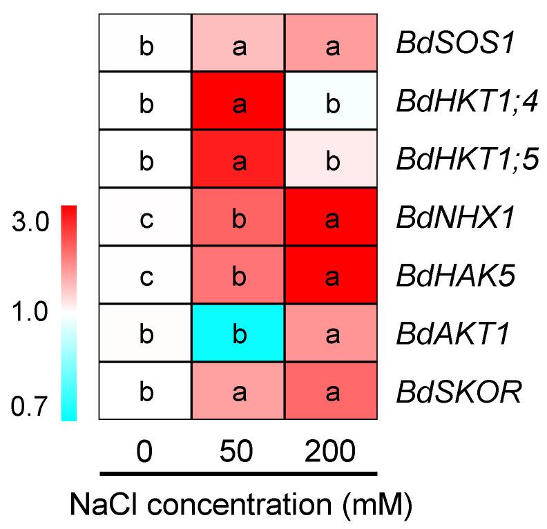 https://cdn.ncbi.nlm.nih.gov/pmc/blobs/e731/10346696/fc709246f8d2/plants-12-02459-g009.jpg