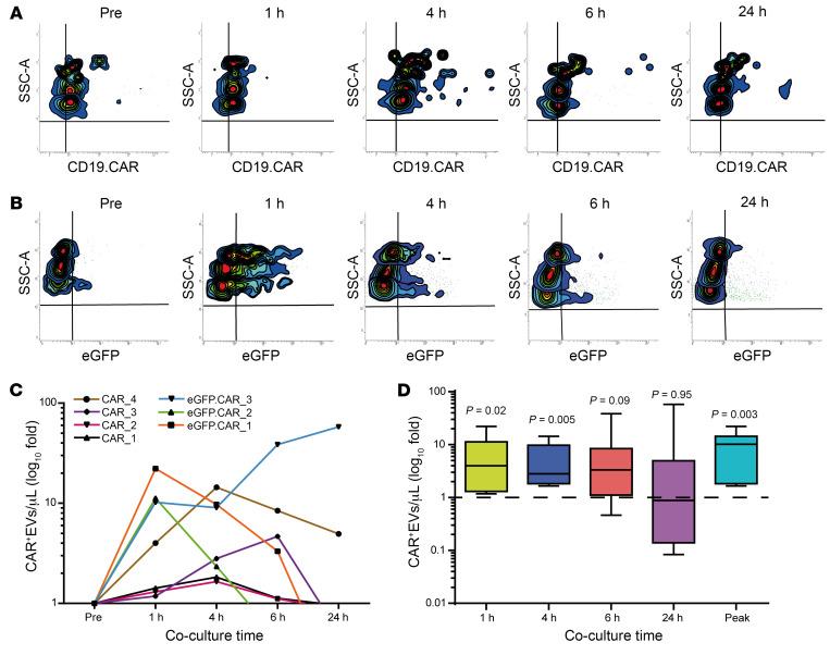 https://cdn.ncbi.nlm.nih.gov/pmc/blobs/e731/11245152/5d62be7c64e8/jci-134-173096-g109.jpg