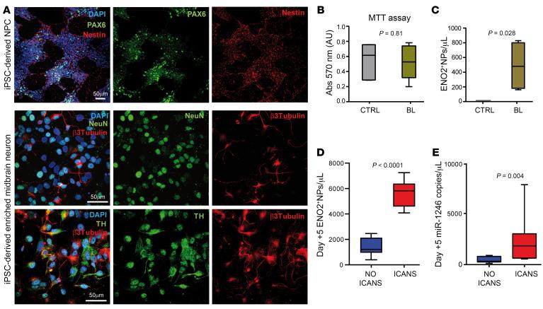 https://cdn.ncbi.nlm.nih.gov/pmc/blobs/e731/11245152/873bf3c6de86/jci-134-173096-g113.jpg