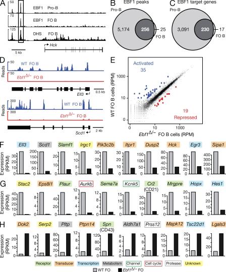 https://cdn.ncbi.nlm.nih.gov/pmc/blobs/e731/3328360/cf5bd67986ca/JEM_20112422_Fig7.jpg
