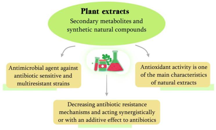 https://cdn.ncbi.nlm.nih.gov/pmc/blobs/e732/10095647/19b4541e442b/molecules-28-03060-g002.jpg
