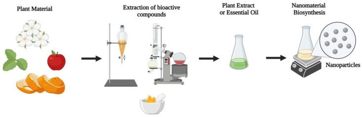 https://cdn.ncbi.nlm.nih.gov/pmc/blobs/e732/10095647/9185b1afcfbf/molecules-28-03060-g001.jpg