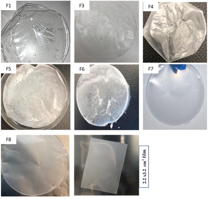 https://cdn.ncbi.nlm.nih.gov/pmc/blobs/e733/8955147/b995dfd4bf17/pharmaceutics-14-00542-g002.jpg