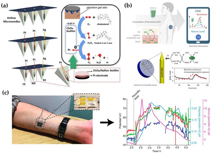 https://cdn.ncbi.nlm.nih.gov/pmc/blobs/e734/12190300/dc01d93410dd/biosensors-15-00380-g004.jpg