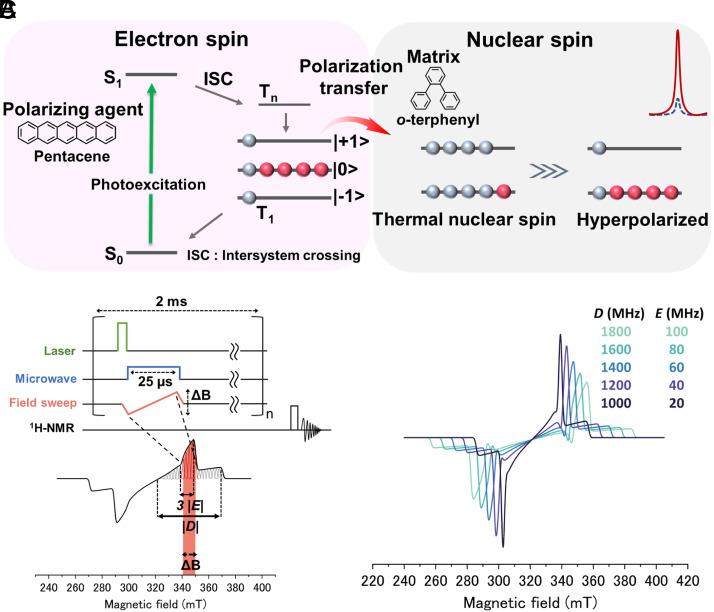 https://cdn.ncbi.nlm.nih.gov/pmc/blobs/e736/10622900/580091e92b68/pnas.2307926120fig01.jpg