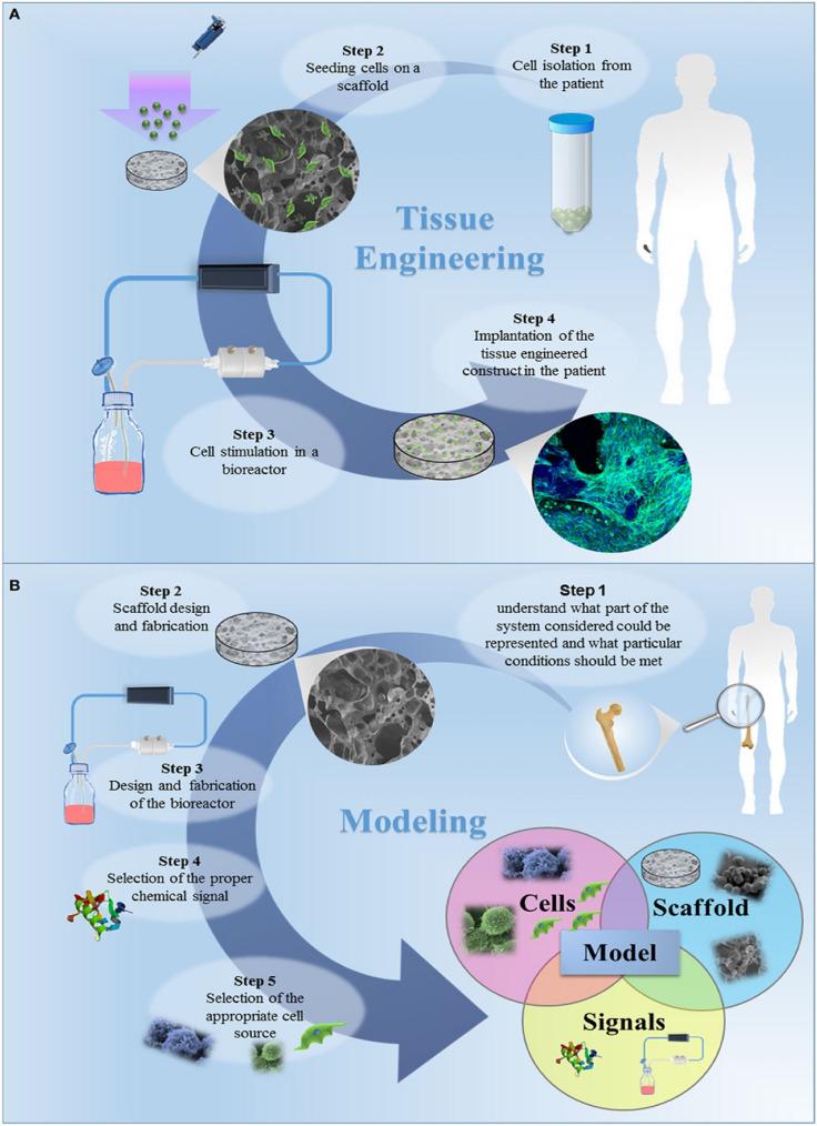 https://cdn.ncbi.nlm.nih.gov/pmc/blobs/e736/10668503/9413dd14adfd/40001_2023_1429_Fig5_HTML.jpg