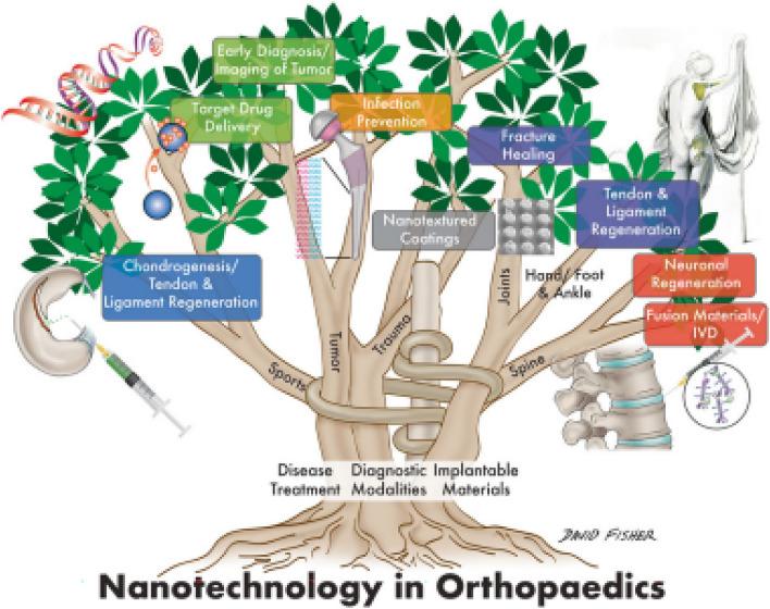 https://cdn.ncbi.nlm.nih.gov/pmc/blobs/e736/10668503/dee66f4621fe/40001_2023_1429_Fig1_HTML.jpg