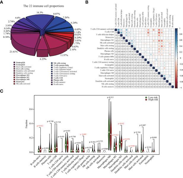 https://cdn.ncbi.nlm.nih.gov/pmc/blobs/e736/9161737/a2e21ab74079/fonc-12-899156-g004.jpg