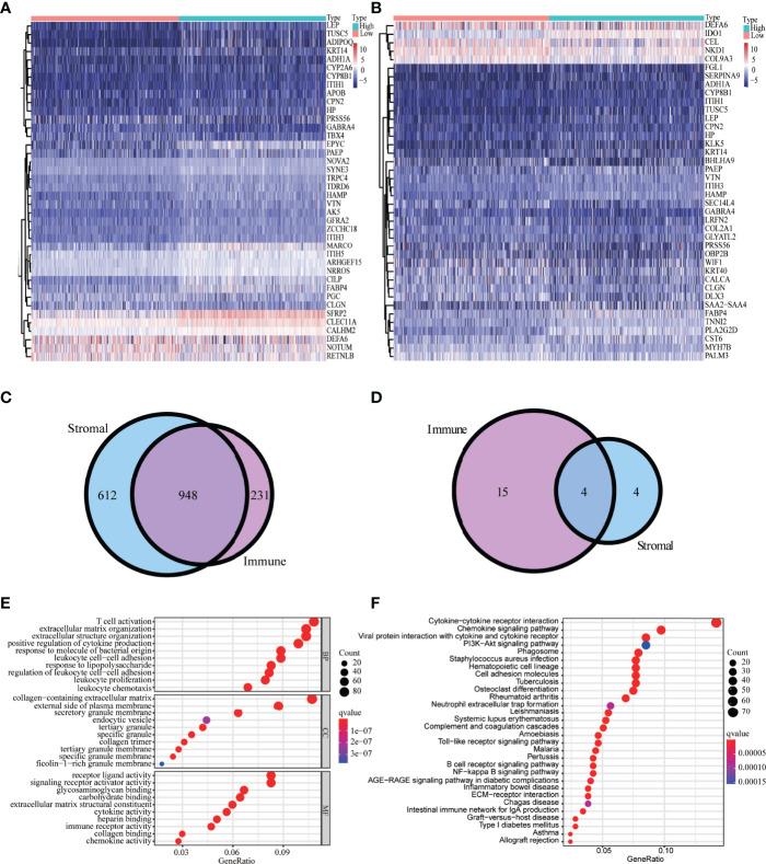 https://cdn.ncbi.nlm.nih.gov/pmc/blobs/e736/9161737/d60bc3cf8dfa/fonc-12-899156-g002.jpg