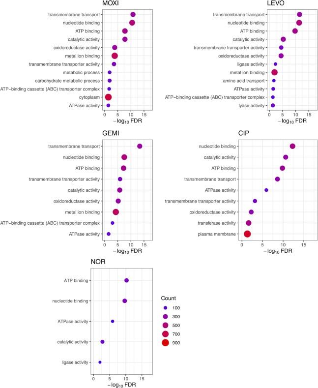 https://cdn.ncbi.nlm.nih.gov/pmc/blobs/e738/9943676/b0791f9520d5/gkac1223fig4.jpg