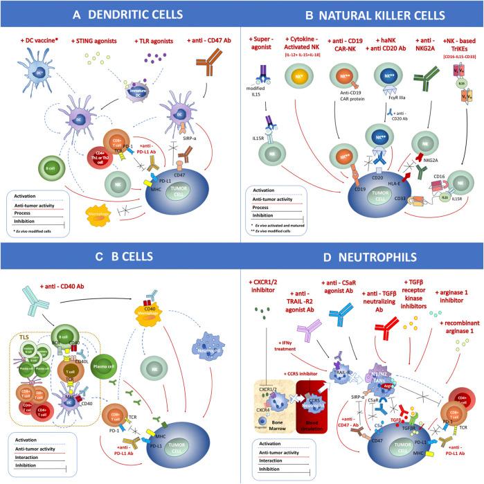 https://cdn.ncbi.nlm.nih.gov/pmc/blobs/e73a/7831045/93e4d1f5a50c/fphar-11-566401-g002.jpg