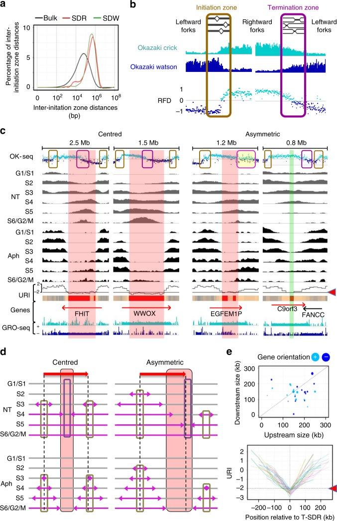 https://cdn.ncbi.nlm.nih.gov/pmc/blobs/e73d/6911102/fa254bb7da8b/41467_2019_13674_Fig2_HTML.jpg