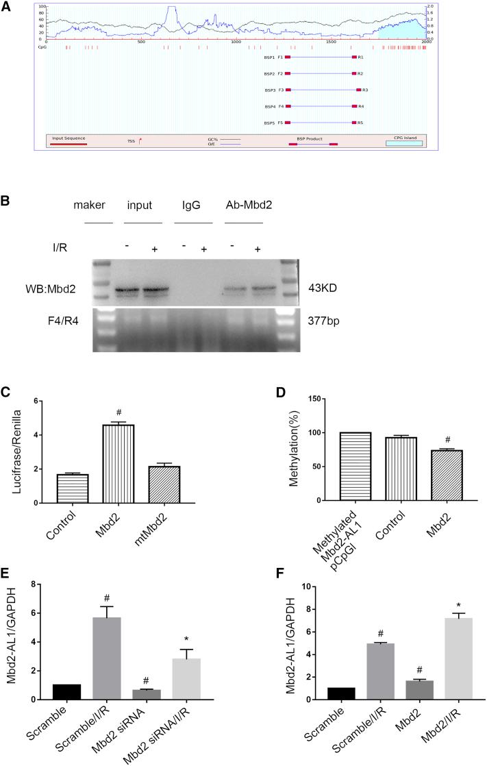 https://cdn.ncbi.nlm.nih.gov/pmc/blobs/e73d/7025978/25333dbf18da/gr4.jpg