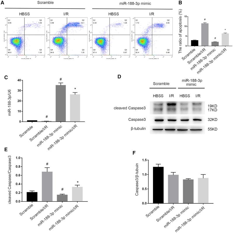 https://cdn.ncbi.nlm.nih.gov/pmc/blobs/e73d/7025978/5ae701684853/gr7.jpg