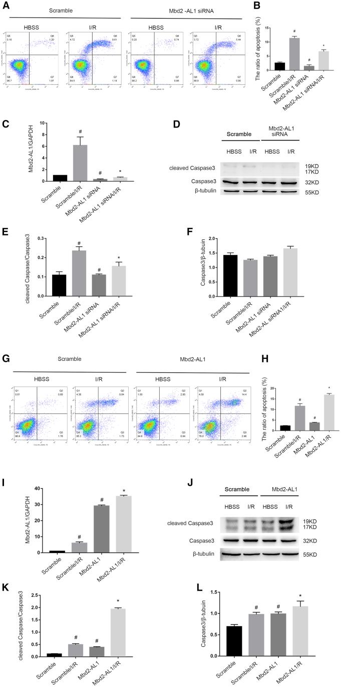 https://cdn.ncbi.nlm.nih.gov/pmc/blobs/e73d/7025978/8ceed932a00e/gr5.jpg
