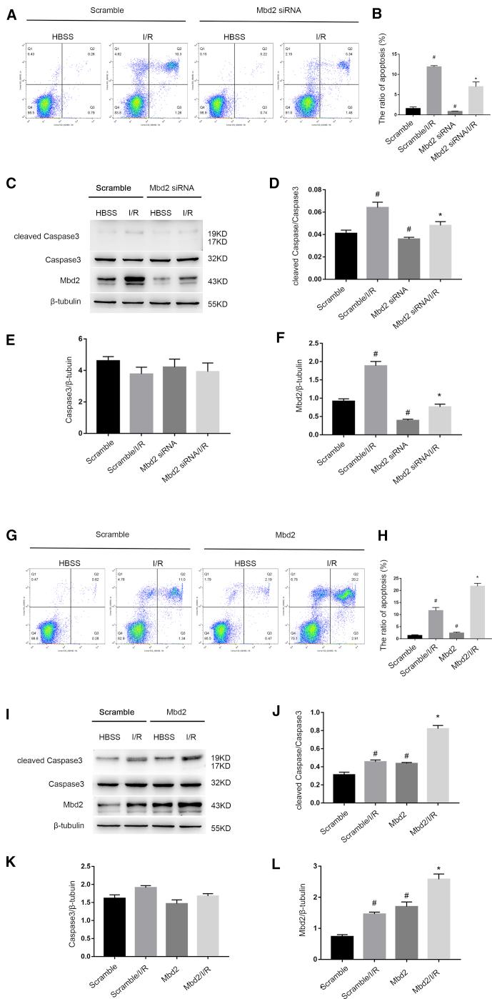 https://cdn.ncbi.nlm.nih.gov/pmc/blobs/e73d/7025978/eb3f6b11ede0/gr2.jpg