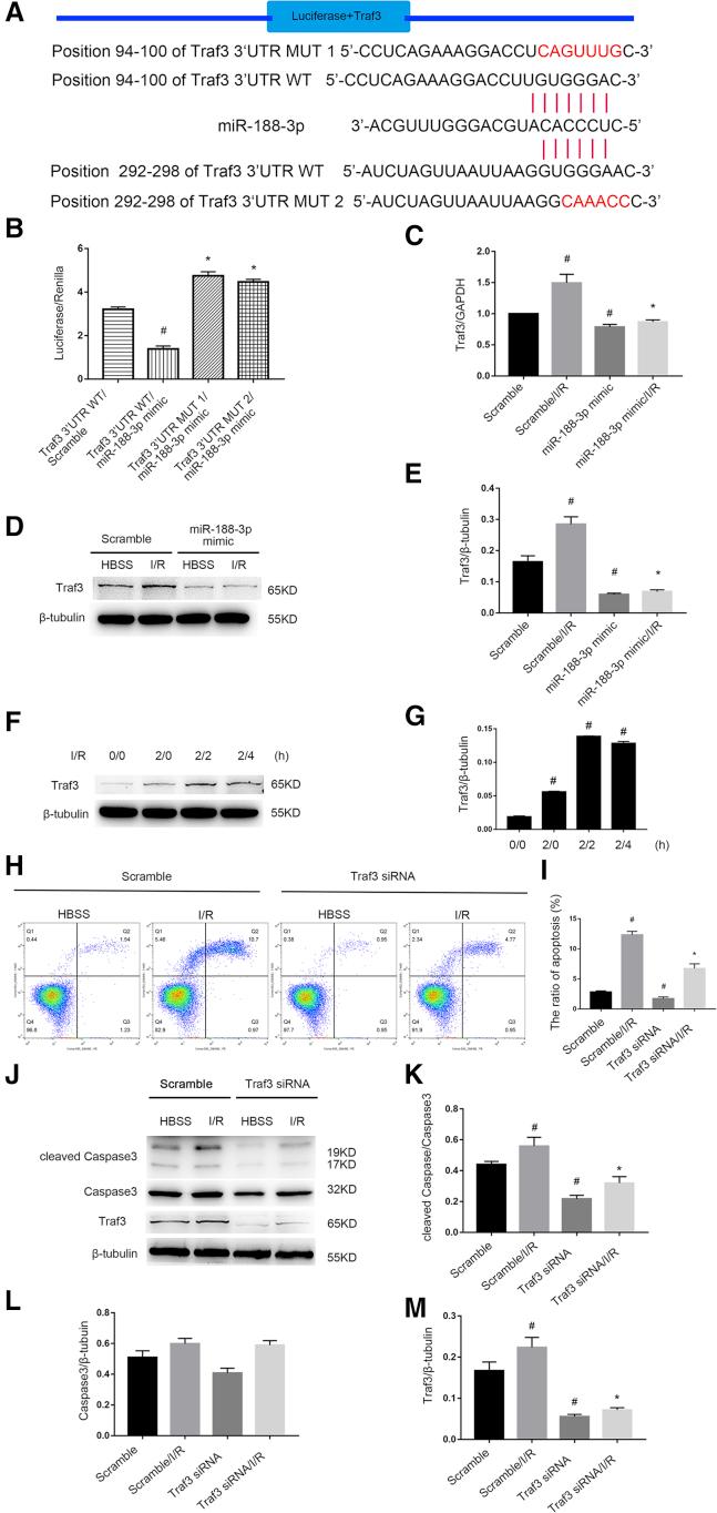 https://cdn.ncbi.nlm.nih.gov/pmc/blobs/e73d/7025978/ff26569e38f9/gr8.jpg