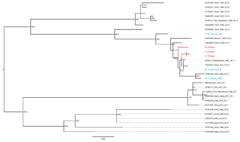 https://cdn.ncbi.nlm.nih.gov/pmc/blobs/e73d/7711717/d5cc5d12aa3a/vetsci-07-00187-g002.jpg