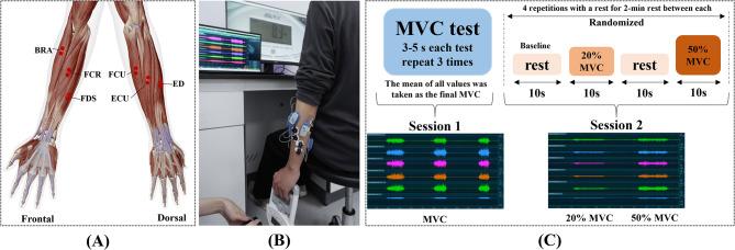 https://cdn.ncbi.nlm.nih.gov/pmc/blobs/e73e/11080130/545e4de83765/12984_2024_1369_Fig1_HTML.jpg