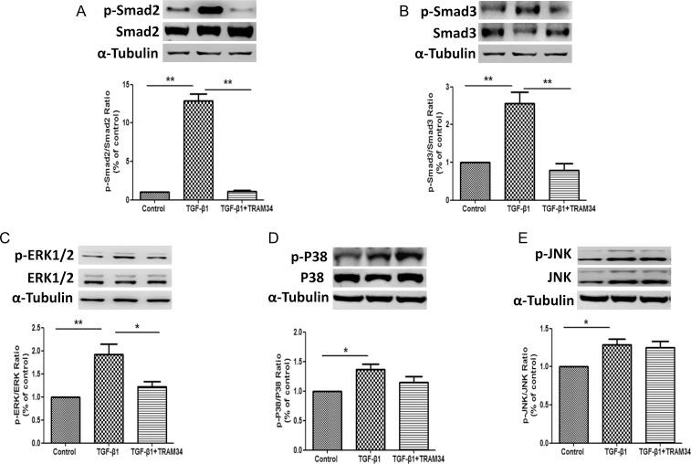 https://cdn.ncbi.nlm.nih.gov/pmc/blobs/e73e/3910344/32349a57fdf1/gft43103.jpg