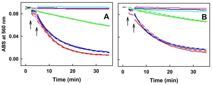 https://cdn.ncbi.nlm.nih.gov/pmc/blobs/e73e/9457693/ffc56e46d297/molecules-27-05735-g008.jpg