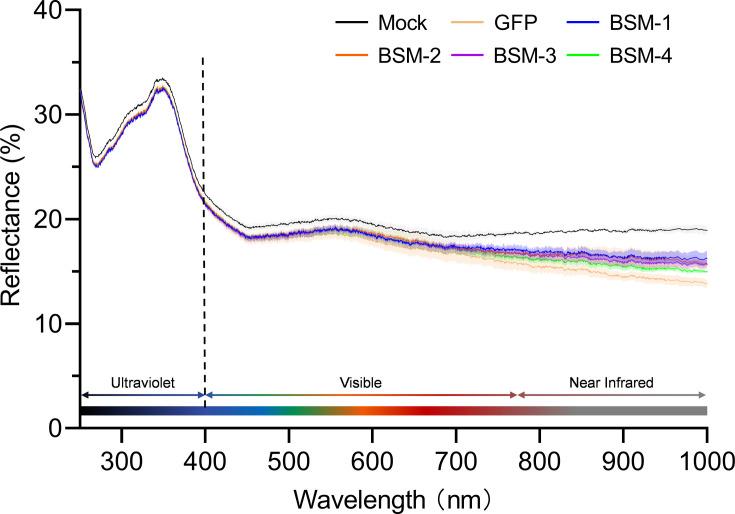 https://cdn.ncbi.nlm.nih.gov/pmc/blobs/e73f/12119089/cf24c6b5497b/elife-99639-fig4-figsupp3.jpg
