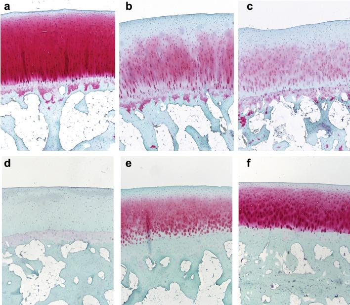https://cdn.ncbi.nlm.nih.gov/pmc/blobs/e73f/6251841/e38153f4ac97/40744_2018_125_Fig5_HTML.jpg