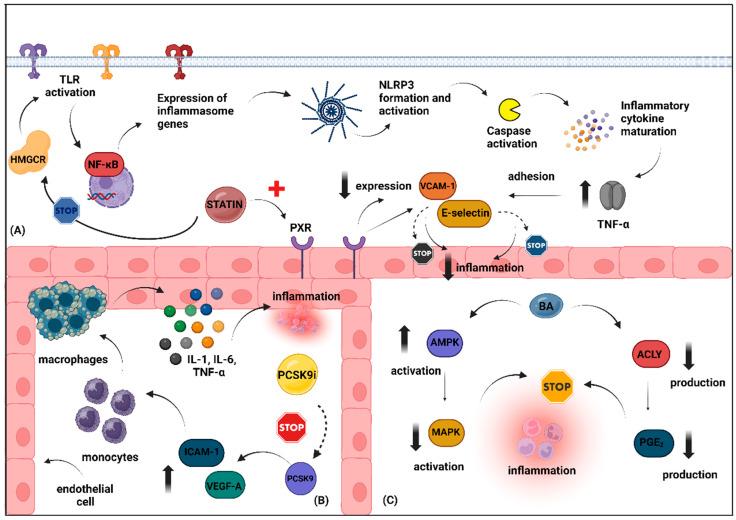 https://cdn.ncbi.nlm.nih.gov/pmc/blobs/e740/11278853/6158eb67a03b/metabolites-14-00388-g001.jpg