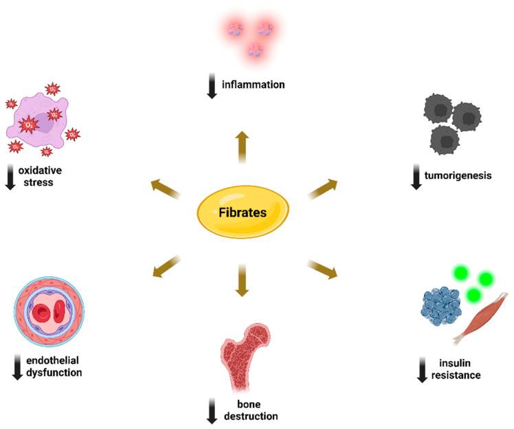 https://cdn.ncbi.nlm.nih.gov/pmc/blobs/e740/11278853/da267264bb54/metabolites-14-00388-g003.jpg
