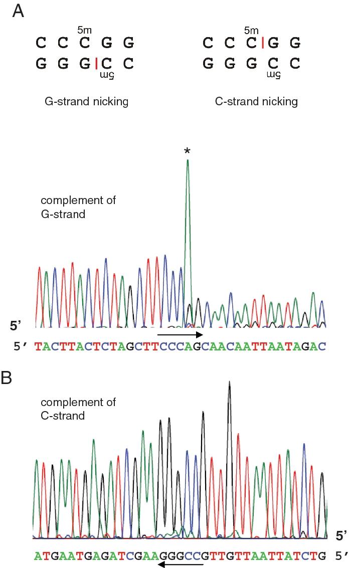 https://cdn.ncbi.nlm.nih.gov/pmc/blobs/e741/3001055/0b010d7b85c0/gkq676f4.jpg