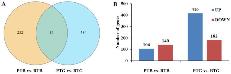https://cdn.ncbi.nlm.nih.gov/pmc/blobs/e74a/10967438/380d98d0b7c8/animals-14-00962-g003.jpg