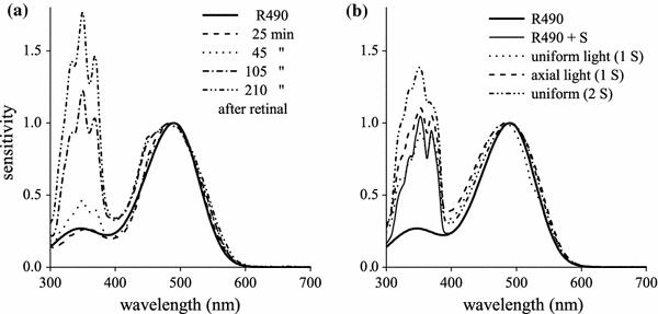 https://cdn.ncbi.nlm.nih.gov/pmc/blobs/e74a/2962788/c618d0b3490a/359_2010_568_Fig4_HTML.jpg