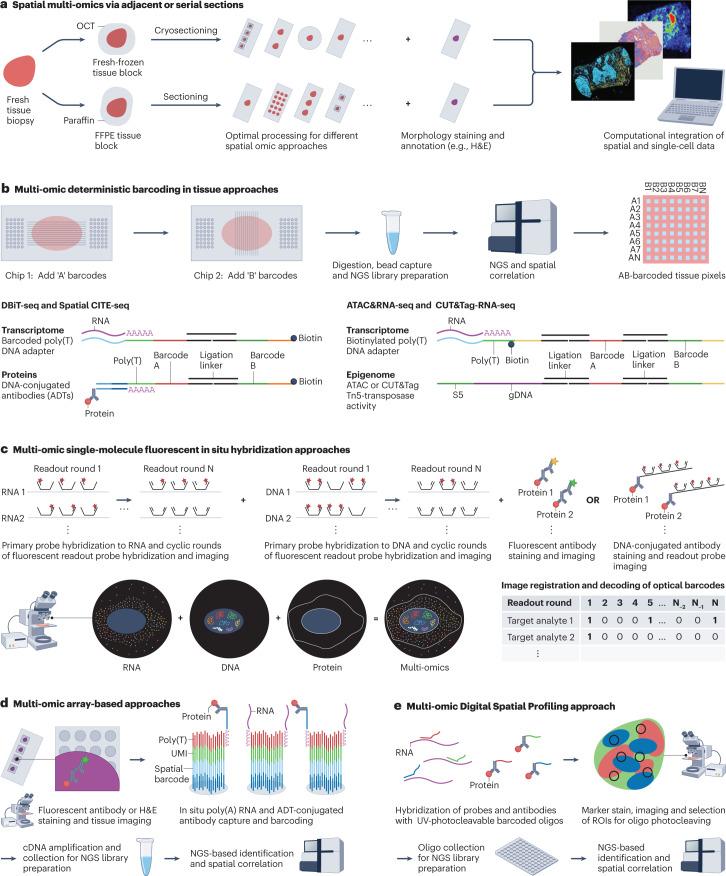 https://cdn.ncbi.nlm.nih.gov/pmc/blobs/e74a/9979144/4c9cc654c49c/41576_2023_580_Fig5_HTML.jpg