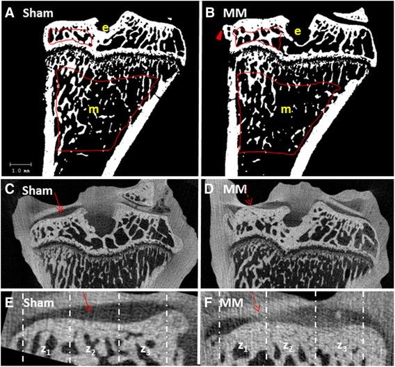 https://cdn.ncbi.nlm.nih.gov/pmc/blobs/e74c/4635572/5eab47b31d63/13075_2015_829_Fig1_HTML.jpg