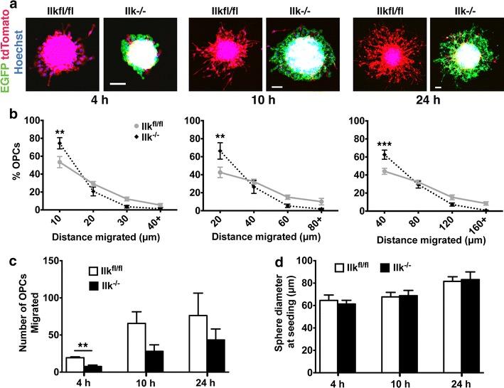 https://cdn.ncbi.nlm.nih.gov/pmc/blobs/e74c/4736119/30d10594a130/12868_2016_242_Fig7_HTML.jpg