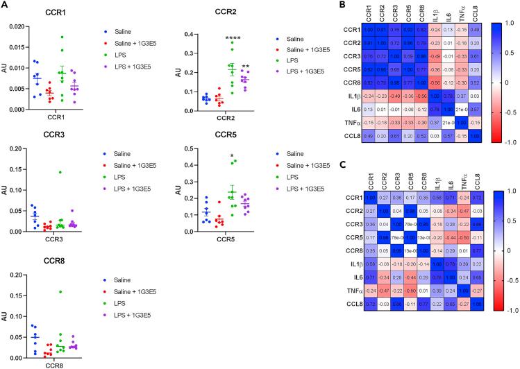 https://cdn.ncbi.nlm.nih.gov/pmc/blobs/e74d/9682349/49902d0f5a23/gr5.jpg
