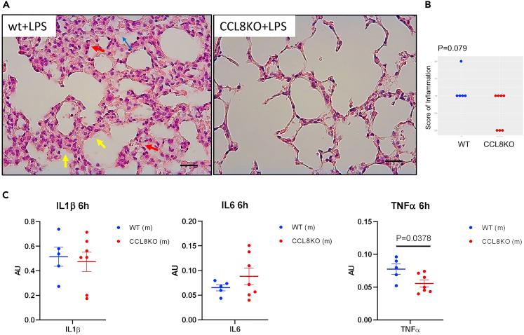 https://cdn.ncbi.nlm.nih.gov/pmc/blobs/e74d/9682349/cf5e902cc7cc/gr1.jpg