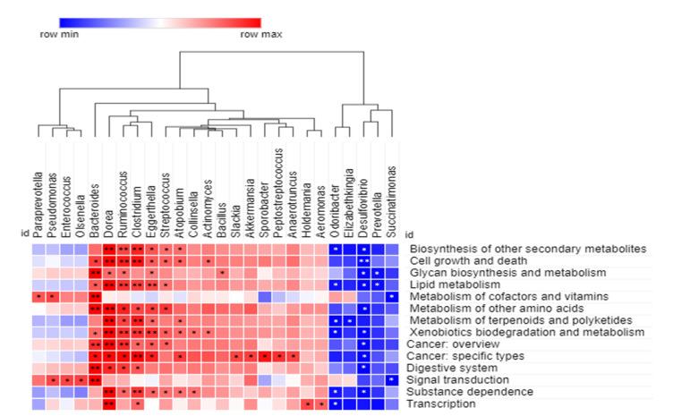 https://cdn.ncbi.nlm.nih.gov/pmc/blobs/e74e/8401100/3727b1ff08ae/microorganisms-09-01548-g006.jpg