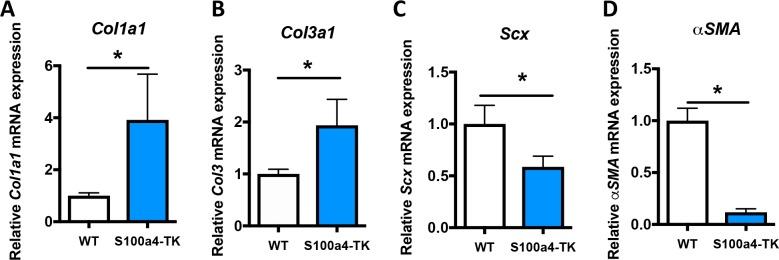https://cdn.ncbi.nlm.nih.gov/pmc/blobs/e750/6546390/92d46a27b8c3/elife-45342-fig6-figsupp1.jpg